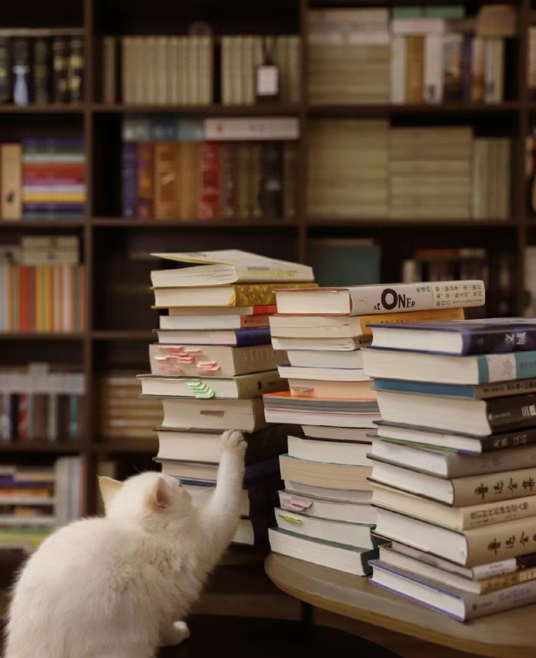 ᠨᠣᠮ ᠤᠩᠰᠢᠭᠰᠠᠨ ᠲᠡᠮᠳᠡᠭᠯᠡᠯ ᠤᠨ ᠬᠢᠲᠠᠳ ᠮᠣᠩᠭᠤᠯ ᠤᠨ ᠬᠠᠶᠢᠷᠴᠠᠭᠤᠯᠠᠯ